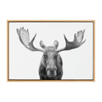 Sylvie Moose Black and White Framed Canvas by Amy Peterson Art Studio
