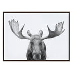 Sylvie Moose Black and White Framed Canvas by Amy Peterson Art Studio