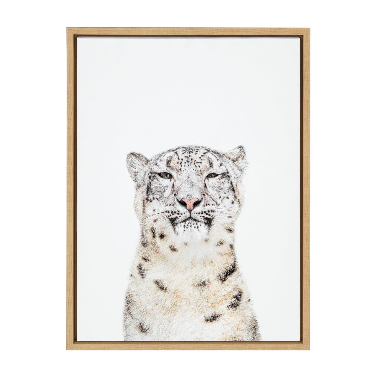 Sylvie Snow Leopard Portrait Framed Canvas by Amy Peterson Art Studio