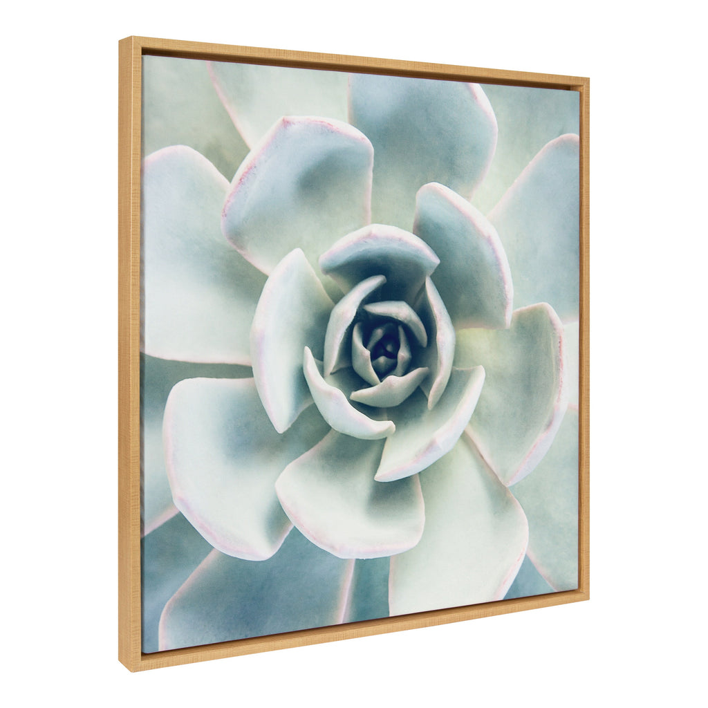 Sylvie Succulent 7 Framed Canvas by F2 Images
