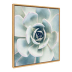 Sylvie Succulent 7 Framed Canvas by F2 Images