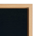 Sylvie Succulent 13 Framed Canvas by F2 Images