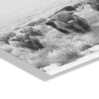 Herd of Highland Cows BW Floating Acrylic Art by The Creative Bunch Studio