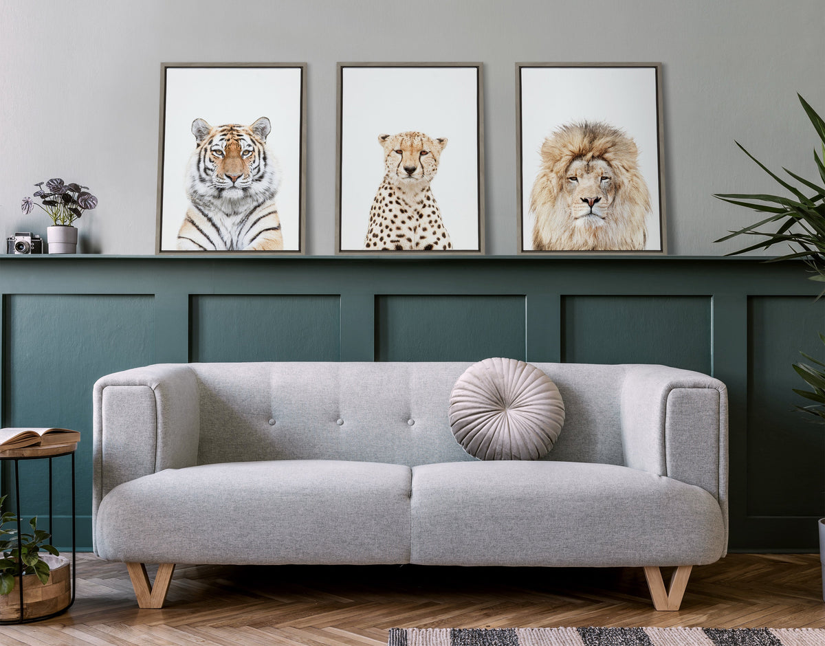 Sylvie Tiger Portrait Framed Canvas by Amy Peterson Art Studio