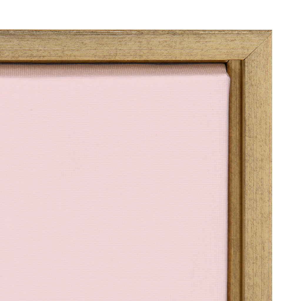 Sylvie Pink Zebra Framed Canvas by Dominique Vari