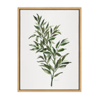 Sylvie Ruscus Framed Canvas by Patricia Shaw