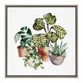 Sylvie Houseplants Framed Canvas by Sara Berrenson