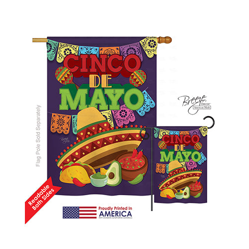 Breeze Decor 15113 Southwest Cinco De Mayo 2-Sided Vertical Impression House Flag - 28 X 40 In.