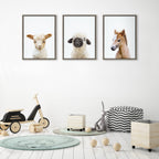 Sylvie Animal Studio Lamb Framed Canvas by Amy Peterson Art Studio