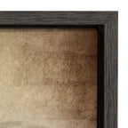 Sylvie Three Vintage Baseballs Framed Canvas by Shawn St. Peter