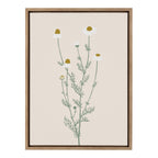 Sylvie Delicate Illustrated White Wildflowers Framed Canvas by The Creative Bunch Studio