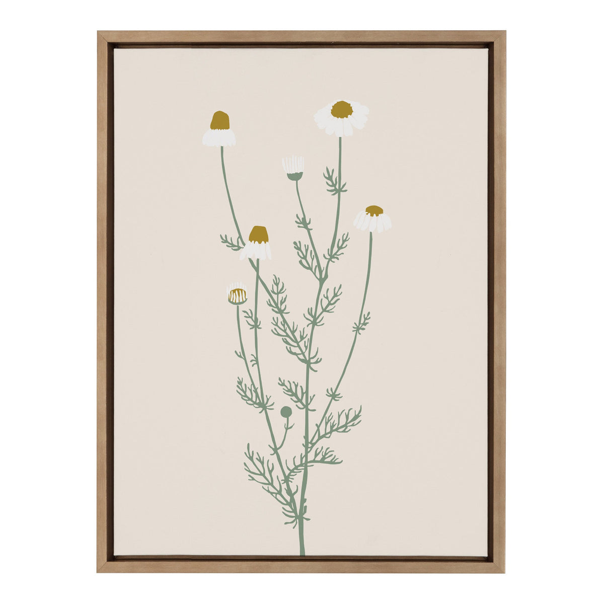 Sylvie Delicate Illustrated White Wildflowers Framed Canvas by The Creative Bunch Studio