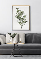 Sylvie Ruscus Framed Canvas by Patricia Shaw