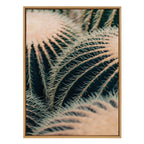 Sylvie Barrel Cactus Framed Canvas by Alicia Bock
