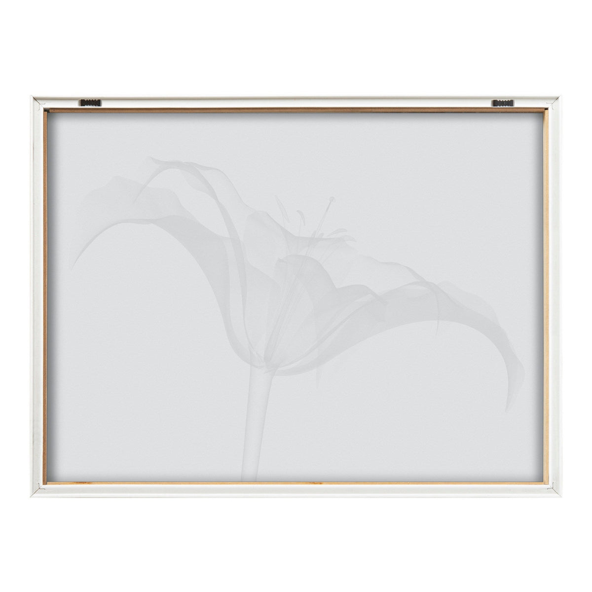 Blake Lily X Ray Floral BW Framed Printed Art by The Creative Bunch Studio