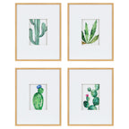 Liev Succulent Framed Print Art Set by Maja Mitrovic