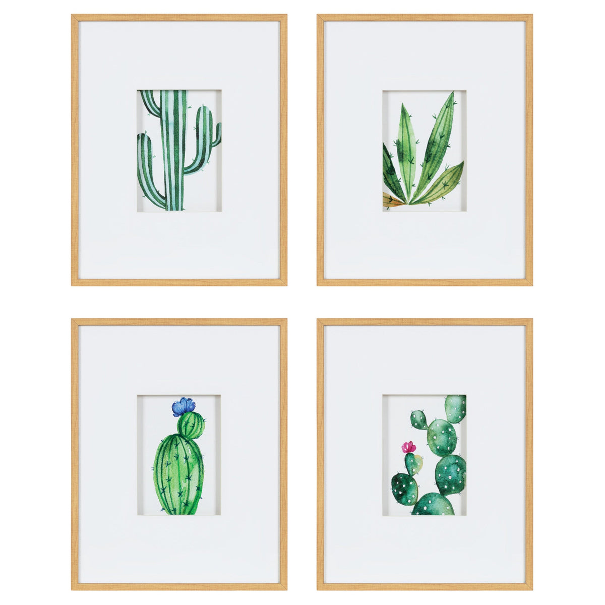 Liev Succulent Framed Print Art Set by Maja Mitrovic