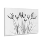 Crocus X Ray Floral Floating Acrylic Art by The Creative Bunch Studio