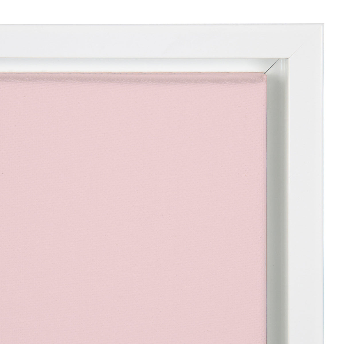 Sylvie Pink Zebra Framed Canvas by Dominique Vari