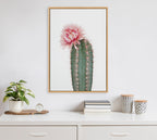 Sylvie Pink Cactus Flower Framed Canvas by Amy Peterson Art Studio