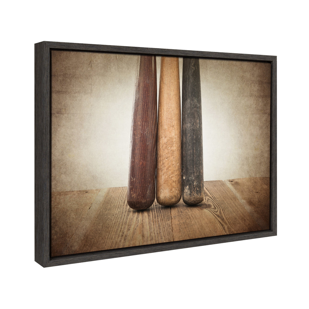 Sylvie Three Vintage Bats Framed Canvas by Shawn St. Peter