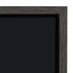 Sylvie Baseball Framed Canvas by Shawn St. Peter
