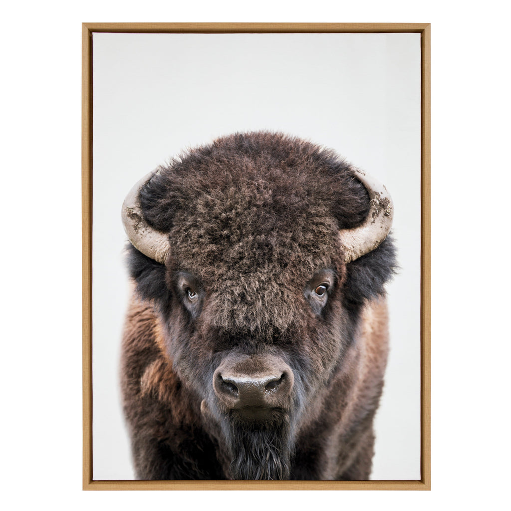 Sylvie Bison Portrait Framed Canvas by Amy Peterson Art Studio