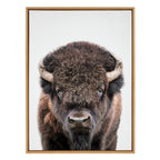 Sylvie Bison Portrait Framed Canvas by Amy Peterson Art Studio
