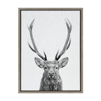 Sylvie The Red Deer BW Framed Canvas by Simon Te of Tai Prints