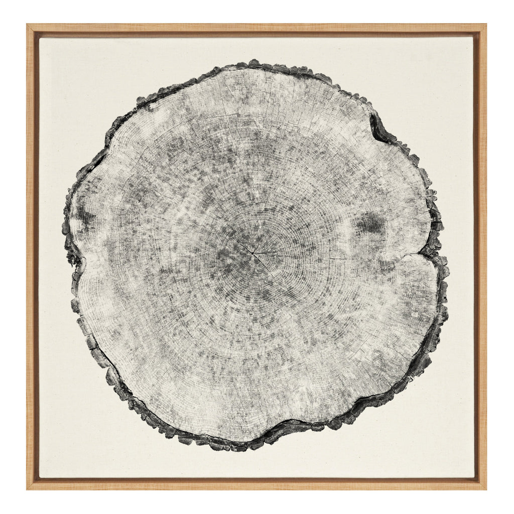 Sylvie Tree Rings Linen Framed Canvas by Emiko and Mark Franzen of F2Images