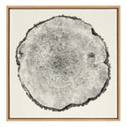 Sylvie Tree Rings Linen Framed Canvas by Emiko and Mark Franzen of F2Images