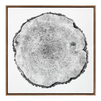 Sylvie Tree Rings Framed Canvas by Emiko and Mark Franzen of F2Images