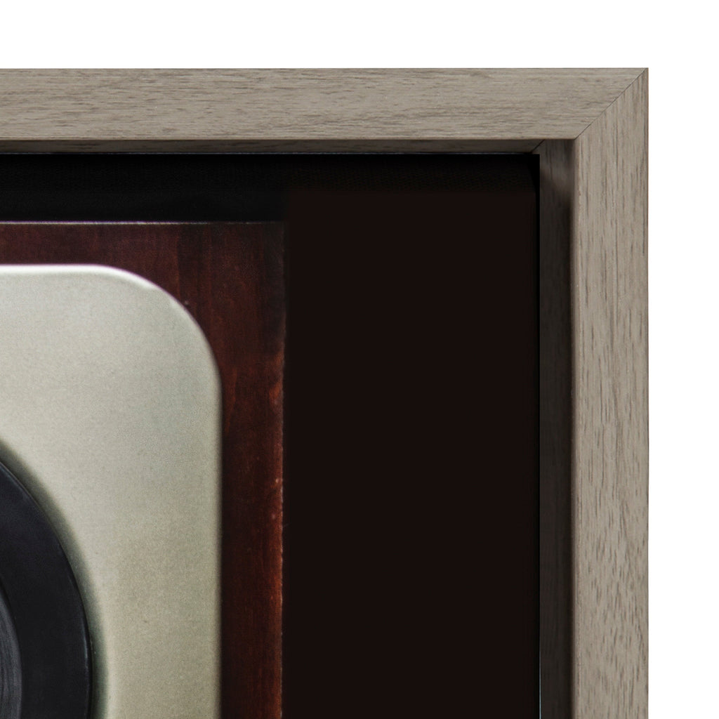 Sylvie High Fidelity Framed Canvas by Emiko and Mark Franzen of F2Images