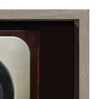 Sylvie High Fidelity Framed Canvas by Emiko and Mark Franzen of F2Images