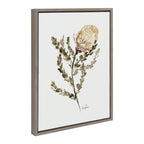 Sylvie Wild Banksia Framed Canvas by Sara Berrenson