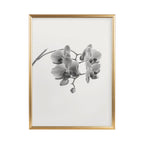 Adlynn Photo Frame Set