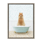 Sylvie Alpaca in Little Fish Bath Framed Canvas by Amy Peterson Art Studio