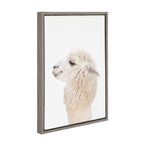 Sylvie Animal Studio Alpaca Profile Framed Canvas by Amy Peterson Art Studio