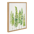 Sylvie Sword Ferns Framed Canvas by Patricia Shaw
