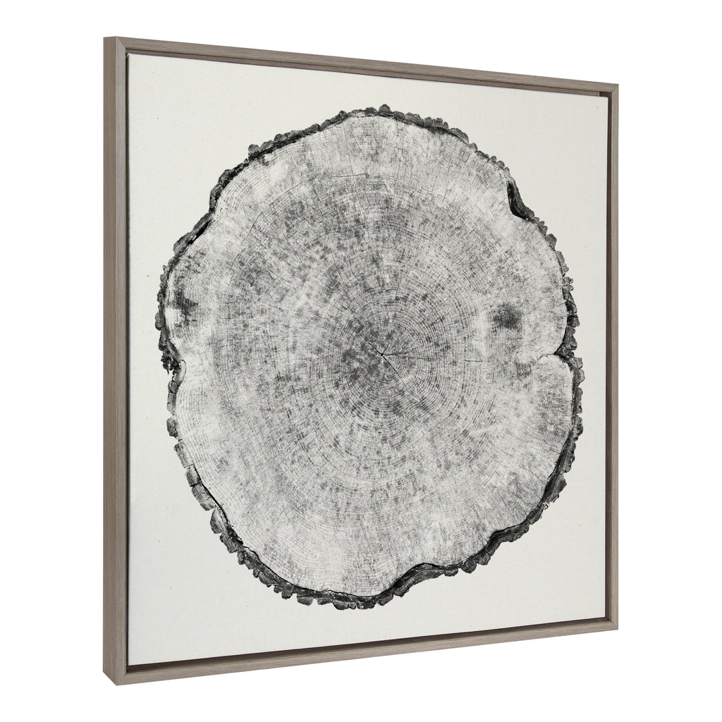 Sylvie Tree Rings Linen Framed Canvas by Emiko and Mark Franzen of F2Images