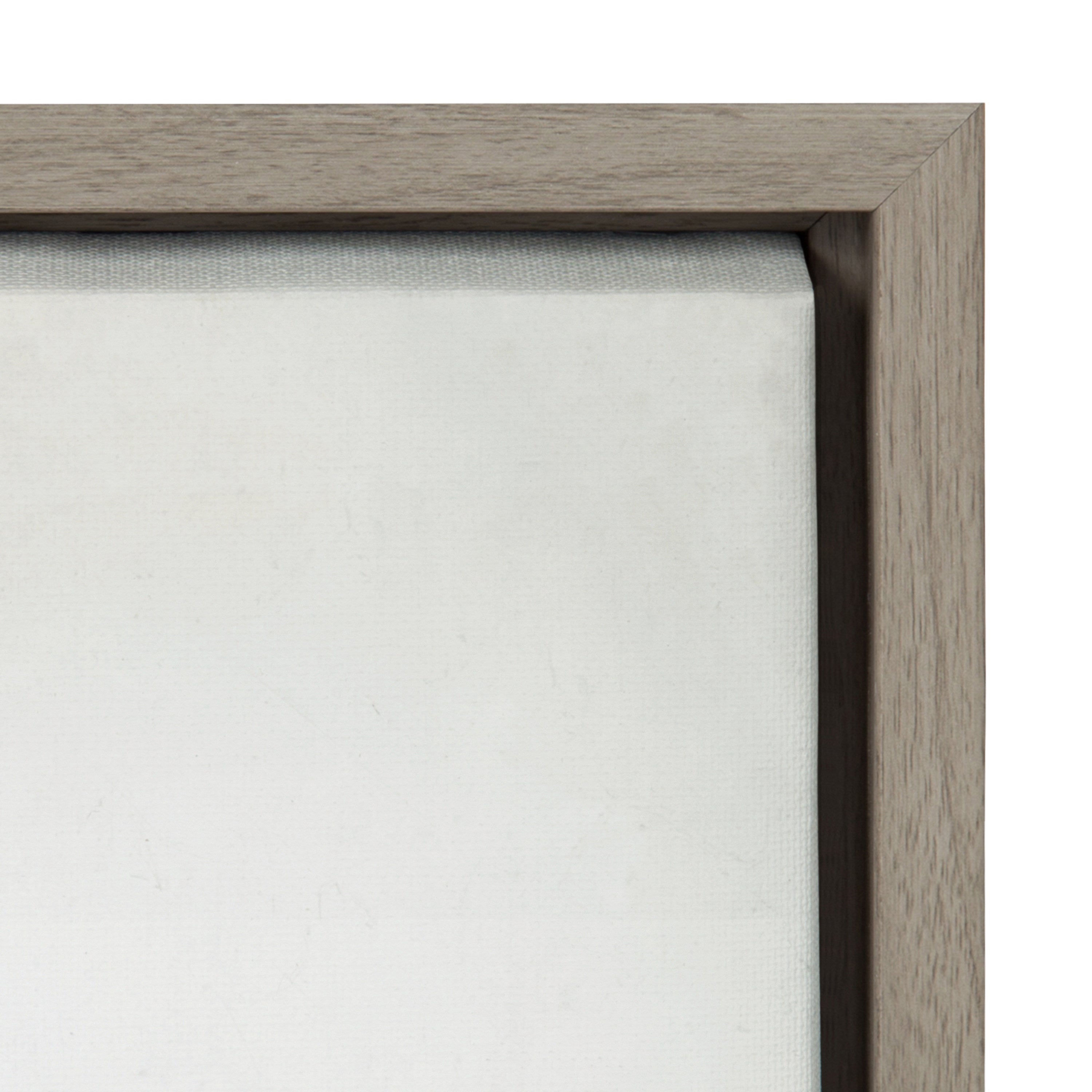 Sylvie Succulent 5 Framed Canvas by F2 Images