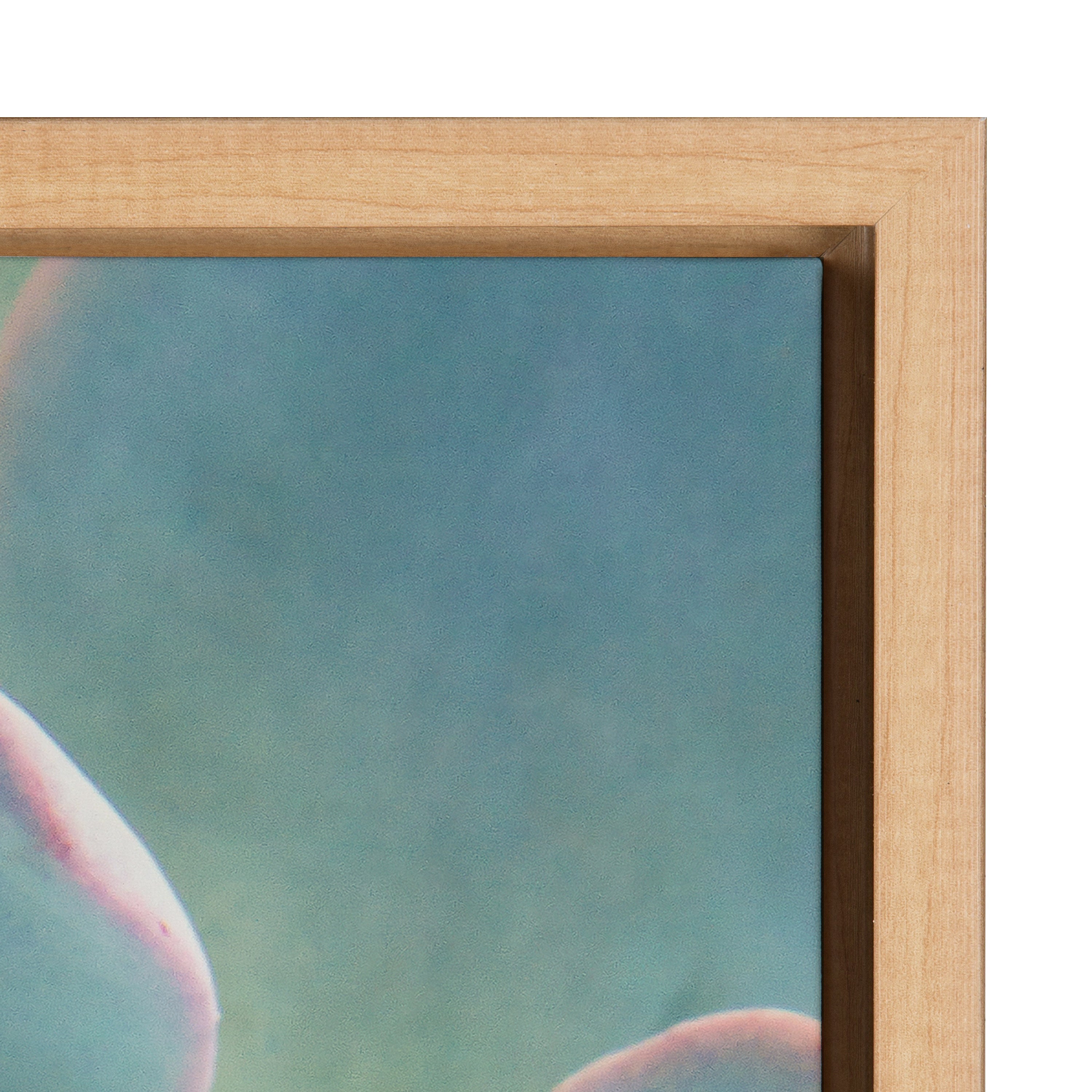 Sylvie Succulent 7 Framed Canvas by F2 Images