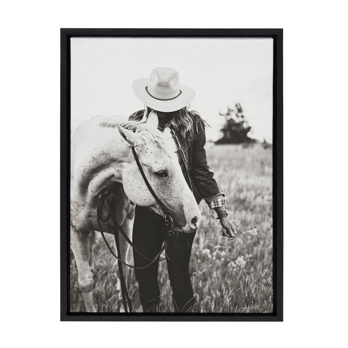 Sylvie Photo Silver Horse Framed Canvas by The Whiskey Ginger