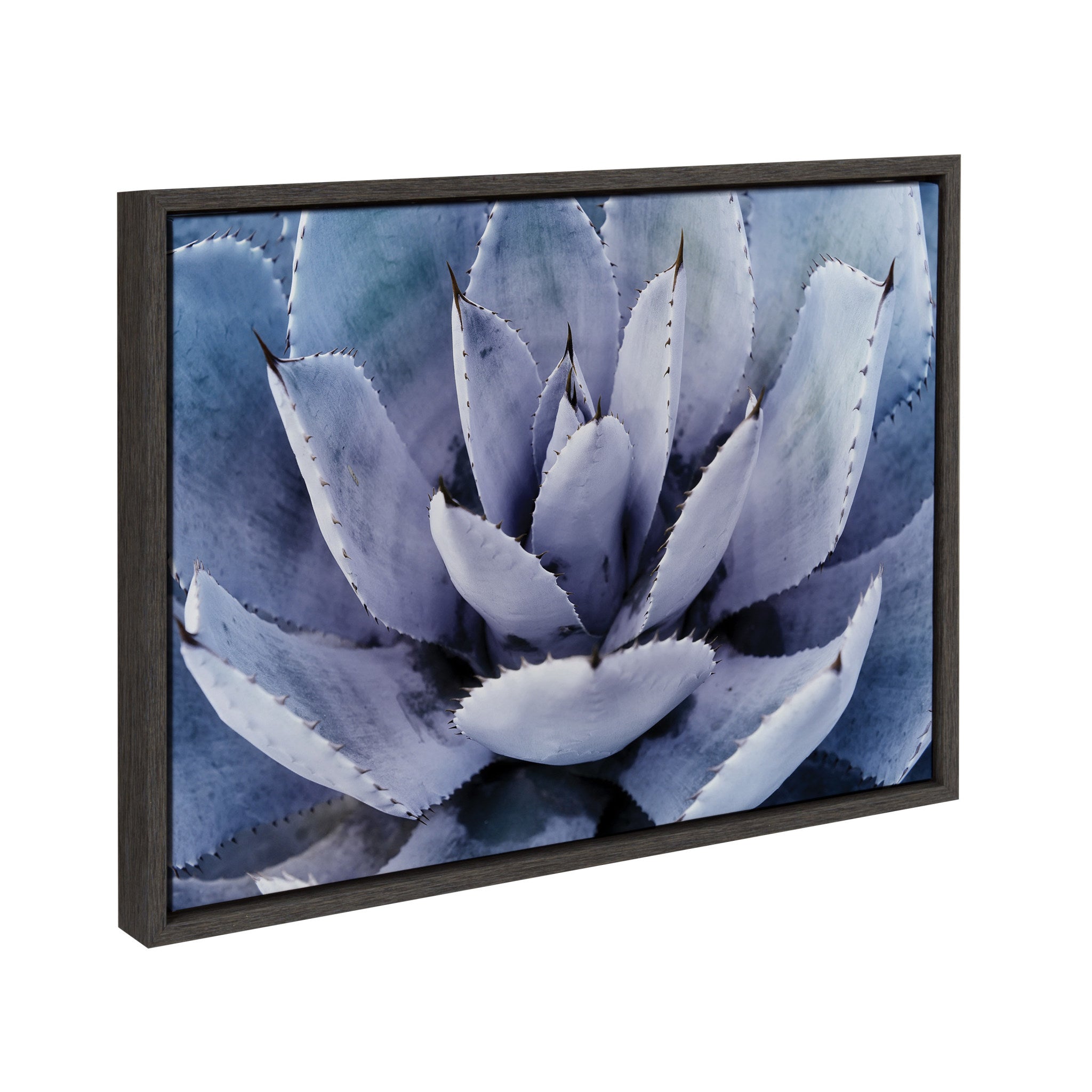 Sylvie Violet Cactus Framed Canvas by Amy Peterson