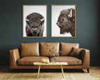 Sylvie Bison Portrait Framed Canvas by Amy Peterson Art Studio