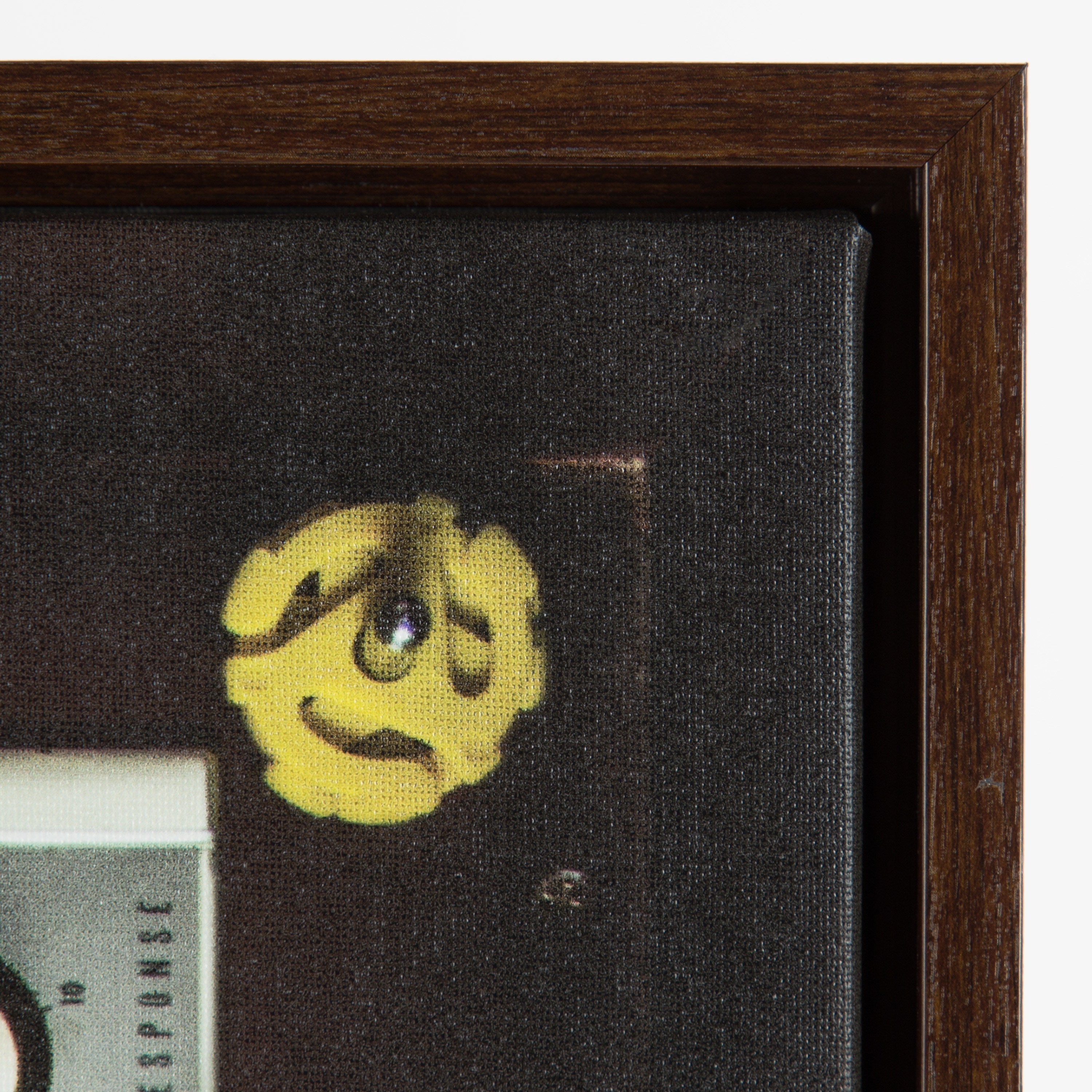 Sylvie High Fidelity Framed Canvas by Emiko and Mark Franzen of F2Images