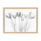 Blake Crocus X Ray Floral BW Framed Printed Art by The Creative Bunch Studio