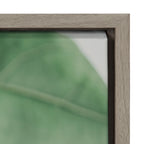 Sylvie Plant Study 6 Framed Canvas by Alicia Abla