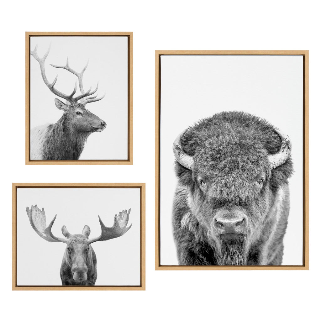 Sylvie Sylvie Bison Portrait Black and White, Stag Profile, and Moose Framed Canvas Art Set by Amy Peterson Art Studio