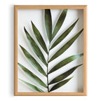 Blake Botanical 5F Framed Printed Glass by Amy Peterson